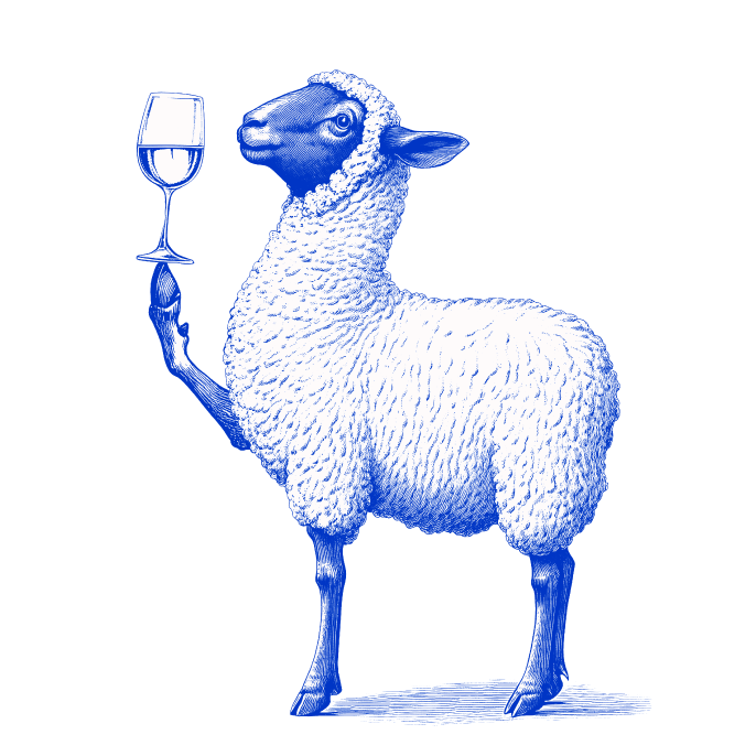 Sauvignon Blanc featured image